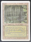 1993 Magic: The Gathering Unlimited #NNO Bayou