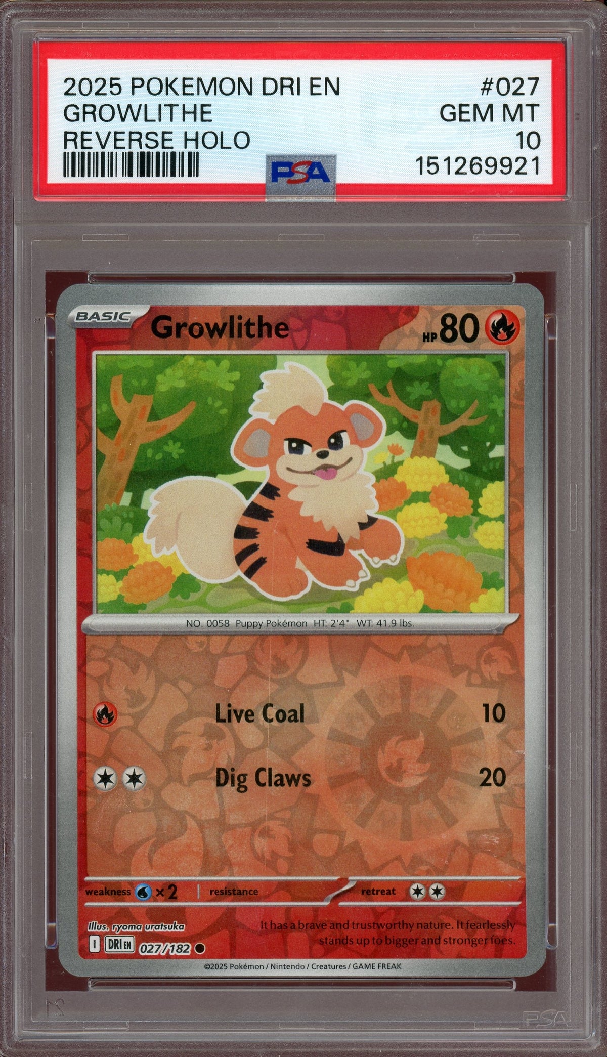 PSA 10 Growlithe Reverse Holo Destined Rivals *Pop 3*