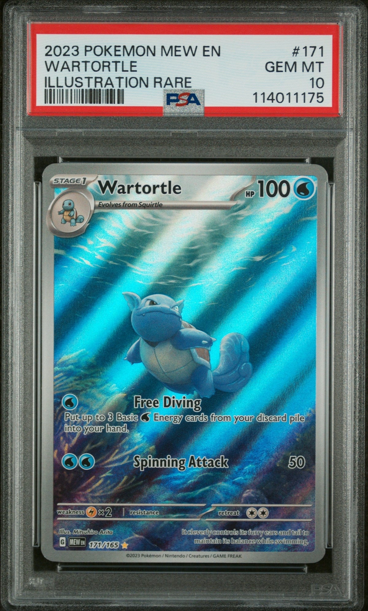 2023 Pokemon Scarlet And Violet 151 Illustration Rare Wartortle #171 PSA 10