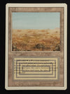 Scrubland