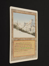 Taiga
