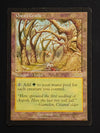 Gaea's Cradle