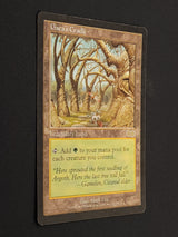 Gaea's Cradle