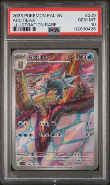 Arctibax - 209/193 - Paldea Evolved - 2023 Pokemon - PSA 10