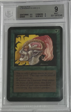 1993 Magic the Gathering Alpha - Llanowar Elves - Beckett 9