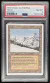 1994 Magic: The Gathering Unlimited #NNO Taiga PSA 8