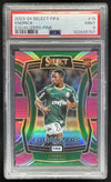 2023-24 Panini Select FIFA Equalizers Pink #19 Endrick /25 PSA 9