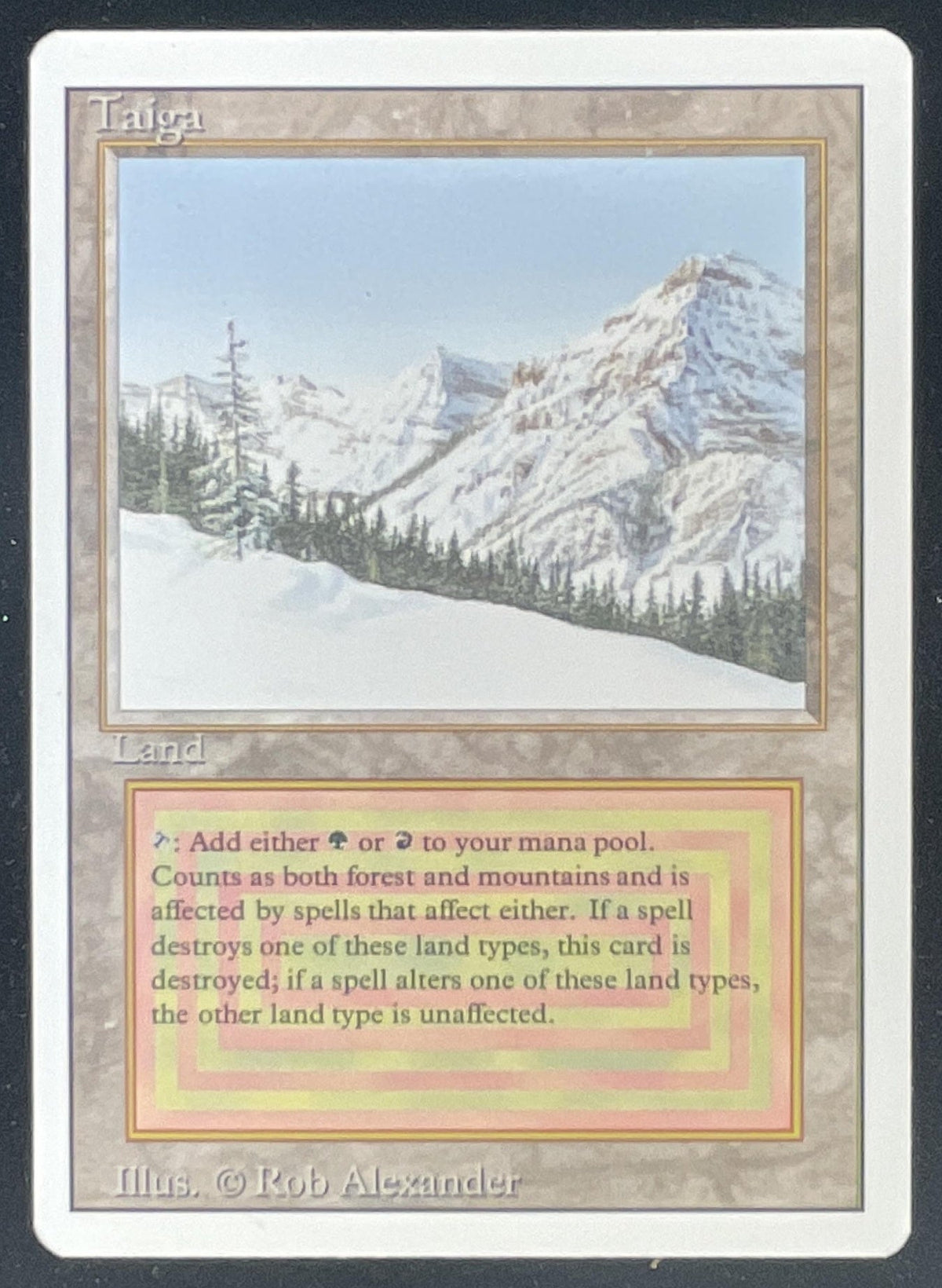1993 Magic: The Gathering Unlimited #NNO Taiga
