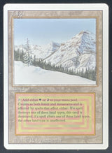1993 Magic: The Gathering Unlimited #NNO Taiga